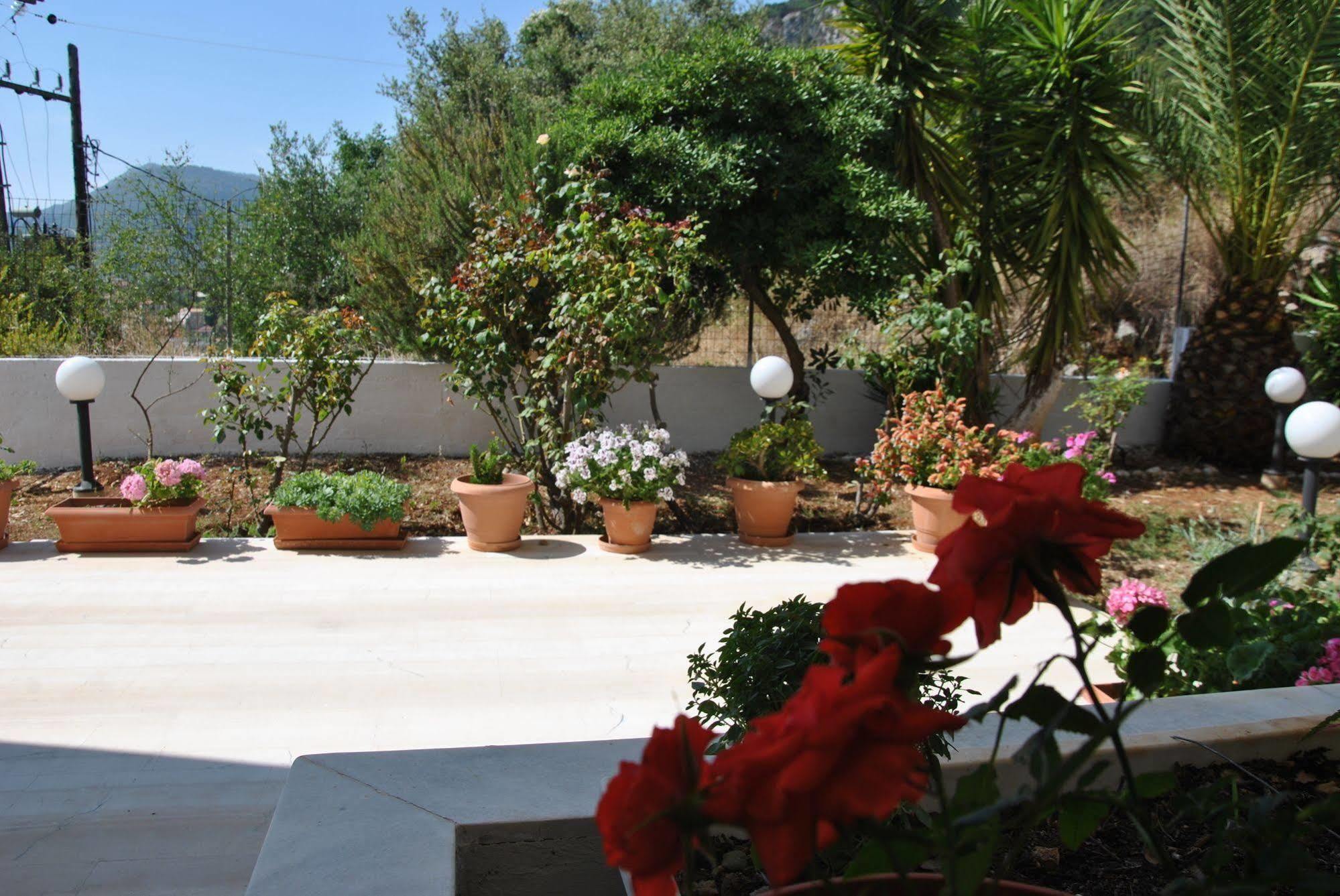 Filoxenia & Apartahotel 2*
